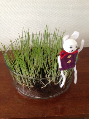 Easter grass