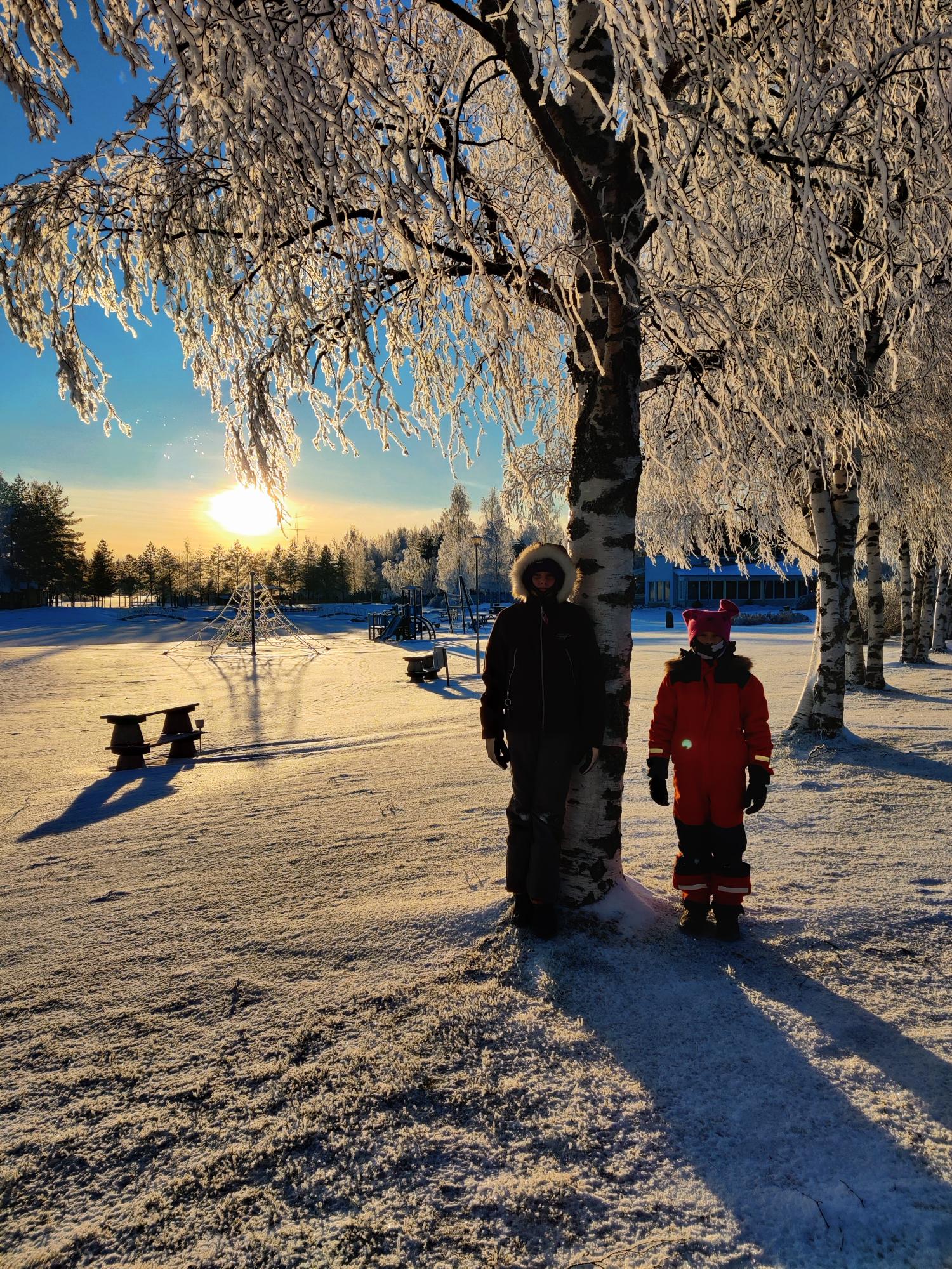 Two people standing beside a snow-covered tree, with the sun low in the sky behind them